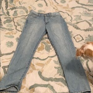 Madewell the perfect vintage jean